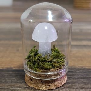 Mini Handmade Terrarium